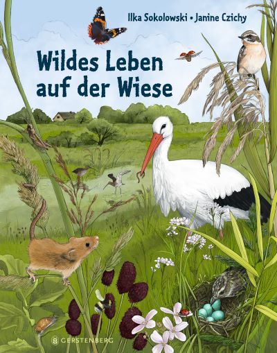 Sokolowski: Wildes Leben auf der Wiese (Gerstenberg 2022)