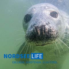 Nordsee Life! NABU 2022